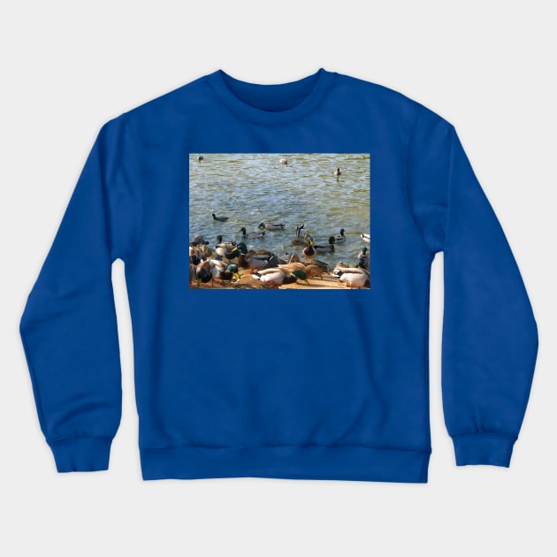 Fowl play Crewneck Sweatshirt by FriendlyComputerHelp